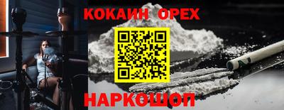 гидра Бузулук