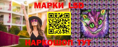 гидропоника Будённовск