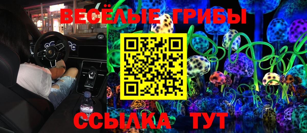Муром  Псилоцибиновые грибы Magic Shrooms  Псилоцибиновые грибы ЛСД  Вход с VPN 