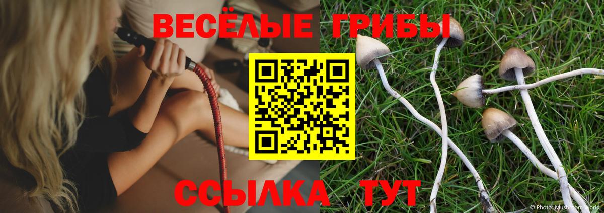 Псилоцибиновые грибы мухоморы Муром